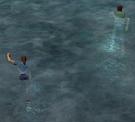 2 Avatares nadando en Ahnonay